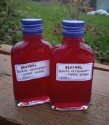 OKSYMEL BURAK CZERWONY - OWOCE GŁOGU  (100 ml) - W NASZEJ SPIŻARNI