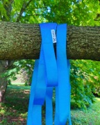 Taśmy do hamaka niebieskie 3m - Tree Huggers - ZESTAW