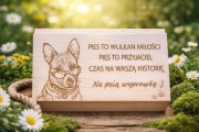 Szkatułka prezent psy