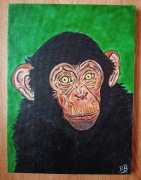 Szympans  obraz akryl na płótnie blejtram  40 cm na 30 cm wermiksowany 