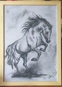 Konik. Węgiel 30 x 20 cm. Obraz w ramce.