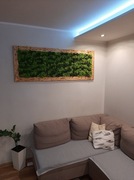 obraz z chrobotkiem, Chrobotek 