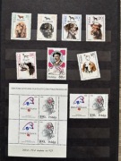 3 klasery ze znaczkami pocztowymi(2 klasery z polskimi i 1 z zagranicznymi)