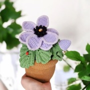 Zawilec na szydełku, anemone handmade, dekoracja