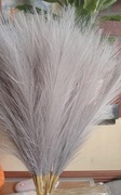 Szara trawa pampasowa 40 sztuk 