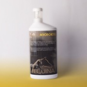 Equina Myofortil 1000ml - suplement aminokwasowy na mięśnie
