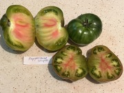 Pomidor Peppermint Stripes kolekcjonerskie nasiona