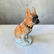 Bokser Lomonosov lfz 