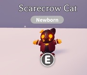 ROBLOX ADOPT ME Scarecrow Cat