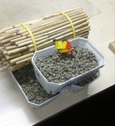 KOKONY PSZCZOŁY MURARKI 500szt +10%