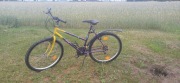 Rower damka 26 cali