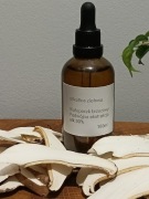 Ekstrakt podwójny bialoporek brzozowy 