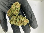 Jasny Lekki Susz CBD White Whidow 1kg | CBD PREMIUM (zdjęcia) 1000g