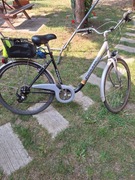 Rower damski Pelikan