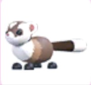 2x Black Footed Ferret - Adopt Me Roblox