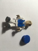 COBI - pilot samolotu