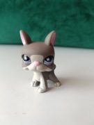 Littlest pet shop LPS 