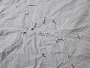 Ręcznie haftowany obrus 160x150