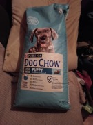 Purina dog chow 