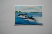 Grenada Sw 3364** delfin zwyczajny /ms/