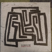 Pineapple Thief - Versions Of The Truth LP (green)