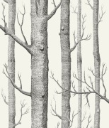 Tapeta WOODS, 69-12147, Cole&Son