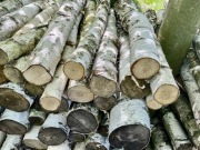 Drewno kominkowe na opał