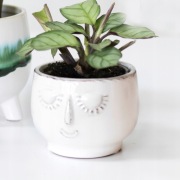 Doniczka Osłonka GŁOWA Twarz