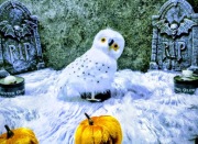 Biała sowa. Ozdoba/ rekwizyt na ramię. 