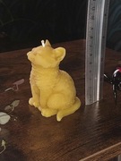 Kot świeca z wosku pszczelego