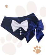 Prezent dla psa || Bandana dla psa || Kokarda do włosów