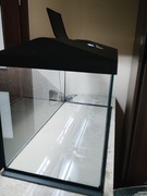 Akwarium aquael leddy 75 