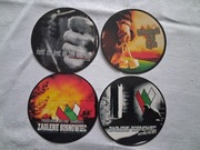 Vlepki Zagłębie Sosnowiec #11