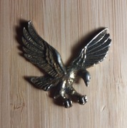 Orzeł Bielik - Harley-Davidson 