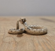 Schleich wąż grzechotnik figurka model wycofany z 2014 r.