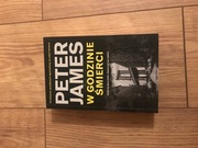 W GODZINIE ŚMIERCI PETER JAMES