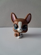 Littlest Pet Shop LPS piesek mały lps