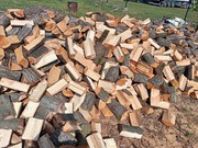 Drzewo opałowe Olszyna 