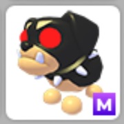 Pet w Adopt Me! Roblox