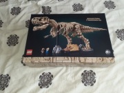 tylko karton LEGO jurassic park 76968