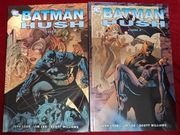 Batman - Hush - 2 tomy - wyd. Egmont
