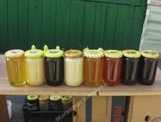 MIÓD RZEPAKOWY 2025 rok  DUŻY SŁOIK POLSKA PASIEKA