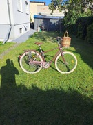 Rower BTWI elons 520