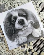 Portret TWOJEGO - KOTA, PSA ręcznie  ze zdjęcia  A4  na prezent