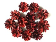 Naturalne SZYSZKI SOSNOWE Dekoracyjne Ozdobne Bordowe Stroik Święta 12 szt.