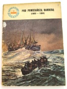 Pod powstańczą banderą (1863-1864)