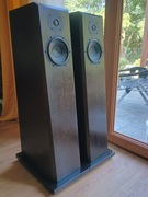 Kolumny podłogowe ala Akkus V2 (35kg) / Usher