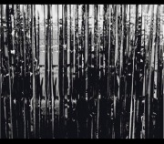 Kurtyna Dekoracyjna czarna 100x300 cm  2 pack 