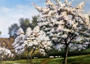 Obraz olejny Wiosna w sadzie 