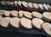 Krążki Brzozowe Plastry na stroik zestaw 50 sztuk Handmade